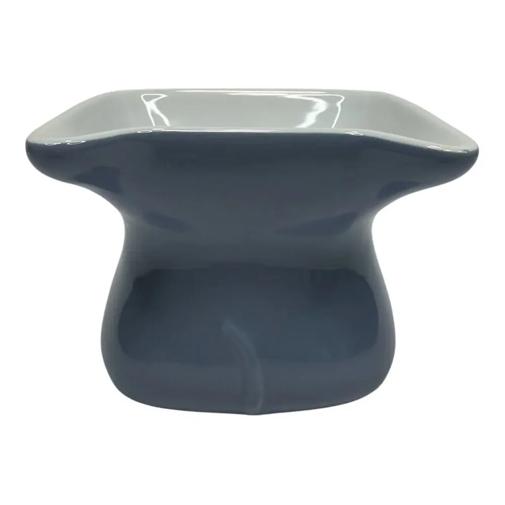 Whisker City Elevated Ceramic Cat Bowls Set of 2 Cute Ear Pet Dishes